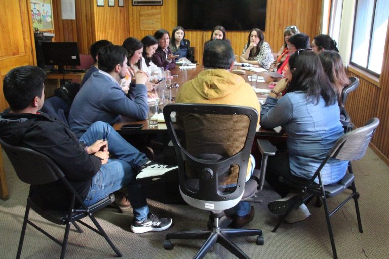 Trabajo en equipo por las familias de Quemchi